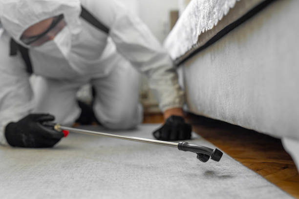 Professional Ant Control technician working in Platte County County, WY